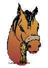 Un poney
